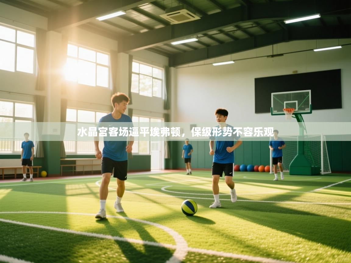 水晶宫客场逼平埃弗顿,保级形势不容乐观 第2张