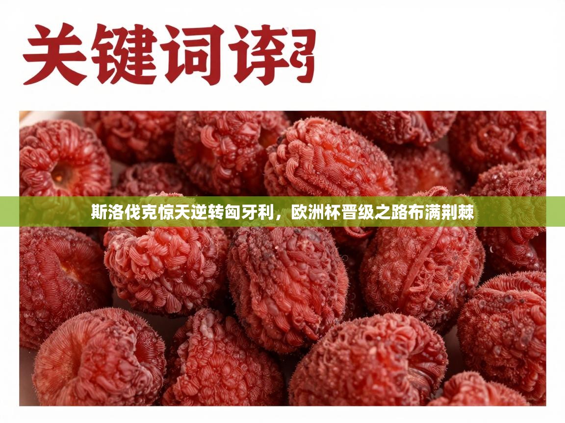 斯洛伐克惊天逆转匈牙利,欧洲杯晋级之路布满荆棘 第1张